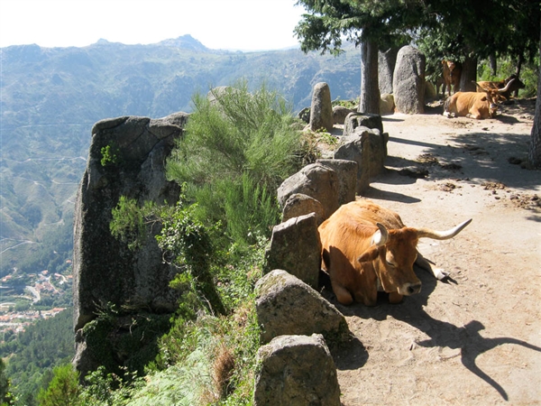 Portugal - Het Nationaal Park Peneda-Gerês - met bezoek aan Porto